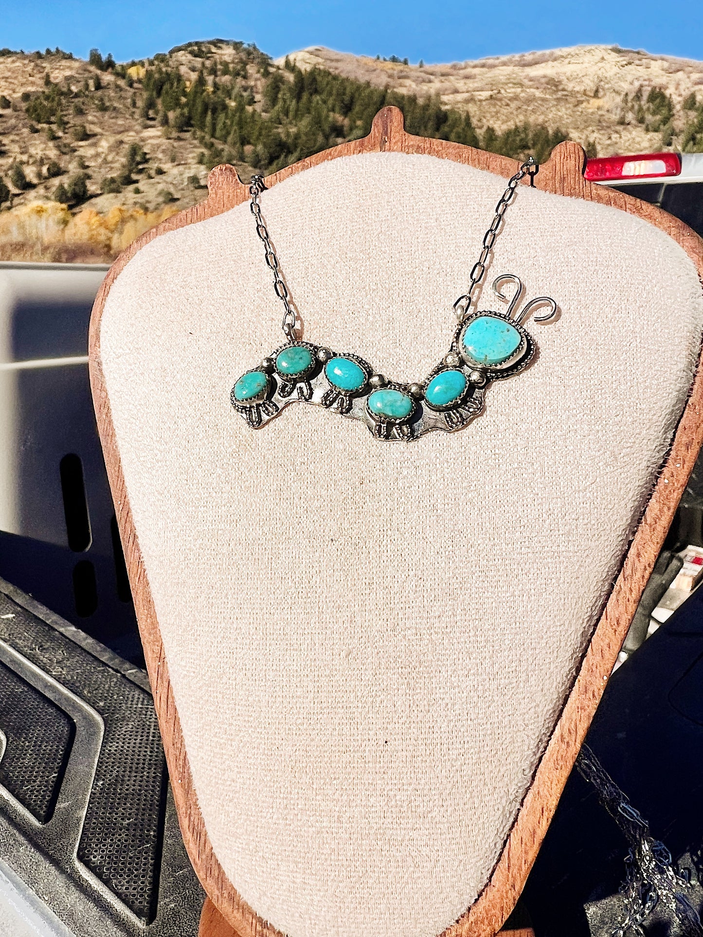 Sonoran Caterpillar Necklace