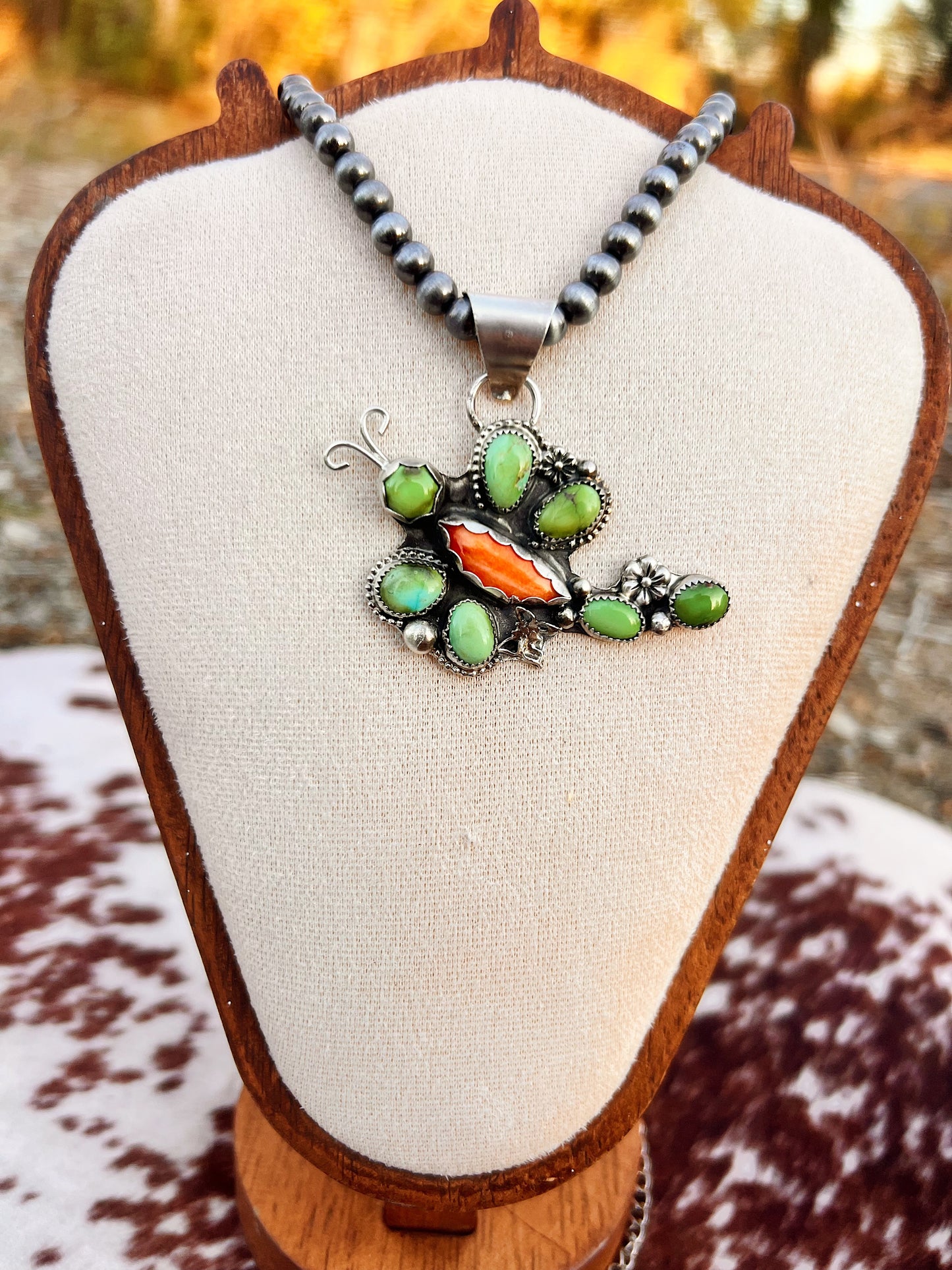 Verde Valley Dragonfly